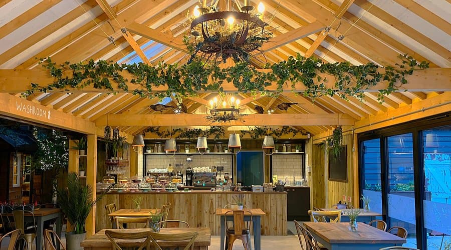 Brand Identity for “Roots Cafe”